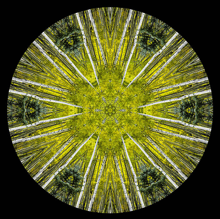 Aspen Mandala Metal Print - "Art That Blesses You"